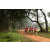 Raid Amazones Sri Lanka 2022 - J1 Trail