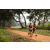 Team 07 / Raid Amazones Sri Lanka 2022 - J1 Trail