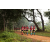 Team 312 / Raid Amazones Sri Lanka 2022 - J1 Trail