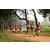 Team 311 / Raid Amazones Sri Lanka 2022 - J1 Trail