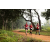 Team 318 / Raid Amazones Sri Lanka 2022 - J1 Trail