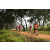 Team 307 / Raid Amazones Sri Lanka 2022 - J1 Trail