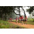 Team 13 / Raid Amazones Sri Lanka 2022 - J1 Trail