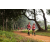 Team 15 / Raid Amazones Sri Lanka 2022 - J1 Trail