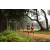 Team 19 / Raid Amazones Sri Lanka 2022 - J1 Trail