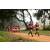Team 26 / Raid Amazones Sri Lanka 2022 - J1 Trail