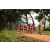 Team 28 / Raid Amazones Sri Lanka 2022 - J1 Trail