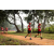 Team 22 / Raid Amazones Sri Lanka 2022 - J1 Trail