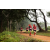 Team 32 / Raid Amazones Sri Lanka 2022 - J1 Trail