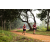 Team 17 / Raid Amazones Sri Lanka 2022 - J1 Trail