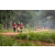 Team 304 / Raid Amazones Sri Lanka 2022 - J1 Trail