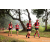 Team 29 / Raid Amazones Sri Lanka 2022 - J1 Trail
