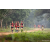 Team 09 / Raid Amazones Sri Lanka 2022 - J1 Trail