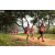 Team 322 / Raid Amazones Sri Lanka 2022 - J1 Trail