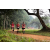 Team 318 / Raid Amazones Sri Lanka 2022 - J1 Trail