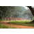 Raid Amazones Sri Lanka 2022 - J1 Trail