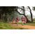 Team 33 / Raid Amazones Sri Lanka 2022 - J1 Trail