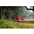 Team 26 / Raid Amazones Sri Lanka 2022 - J1 Trail
