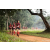 Team 336 / Raid Amazones Sri Lanka 2022 - J1 Trail