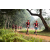 Team 44 / Raid Amazones Sri Lanka 2022 - J1 Trail