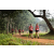 Team 40 / Raid Amazones Sri Lanka 2022 - J1 Trail
