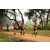 Team 31 / Raid Amazones Sri Lanka 2022 - J1 Trail
