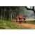Team 42 / Raid Amazones Sri Lanka 2022 - J1 Trail