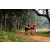 Team 58 / Raid Amazones Sri Lanka 2022 - J1 Trail