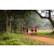 Team 25 / Raid Amazones Sri Lanka 2022 - J1 Trail
