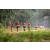 Raid Amazones Sri Lanka 2022 - J1 Trail