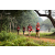 Team 79 / Raid Amazones Sri Lanka 2022 - J1 Trail