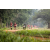 Team 93 / Raid Amazones Sri Lanka 2022 - J1 Trail
