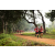 Team 38 / Raid Amazones Sri Lanka 2022 - J1 Trail