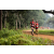 Team 85 / Raid Amazones Sri Lanka 2022 - J1 Trail