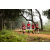 Team 55 / Raid Amazones Sri Lanka 2022 - J1 Trail