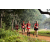 Team 89 / Raid Amazones Sri Lanka 2022 - J1 Trail