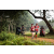 Team 86 / Raid Amazones Sri Lanka 2022 - J1 Trail