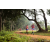 Raid Amazones Sri Lanka 2022 - J1 Trail