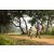 Team 78 / Raid Amazones Sri Lanka 2022 - J1 Trail