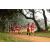 Team 67 / Raid Amazones Sri Lanka 2022 - J1 Trail