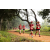 Team 53 / Raid Amazones Sri Lanka 2022 - J1 Trail
