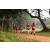 Team 83 / Raid Amazones Sri Lanka 2022 - J1 Trail