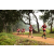 Team 63 / Raid Amazones Sri Lanka 2022 - J1 Trail