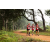 Team 74 / Raid Amazones Sri Lanka 2022 - J1 Trail