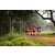 Team 71 / Raid Amazones Sri Lanka 2022 - J1 Trail
