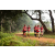 Team 76 / Raid Amazones Sri Lanka 2022 - J1 Trail