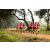 Team 81 / Raid Amazones Sri Lanka 2022 - J1 Trail