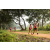 Team 79 / Raid Amazones Sri Lanka 2022 - J1 Trail