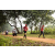 Team 65 / Raid Amazones Sri Lanka 2022 - J1 Trail