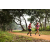 Team 92 / Raid Amazones Sri Lanka 2022 - J1 Trail